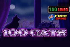 Обложка игры 100 Cats
